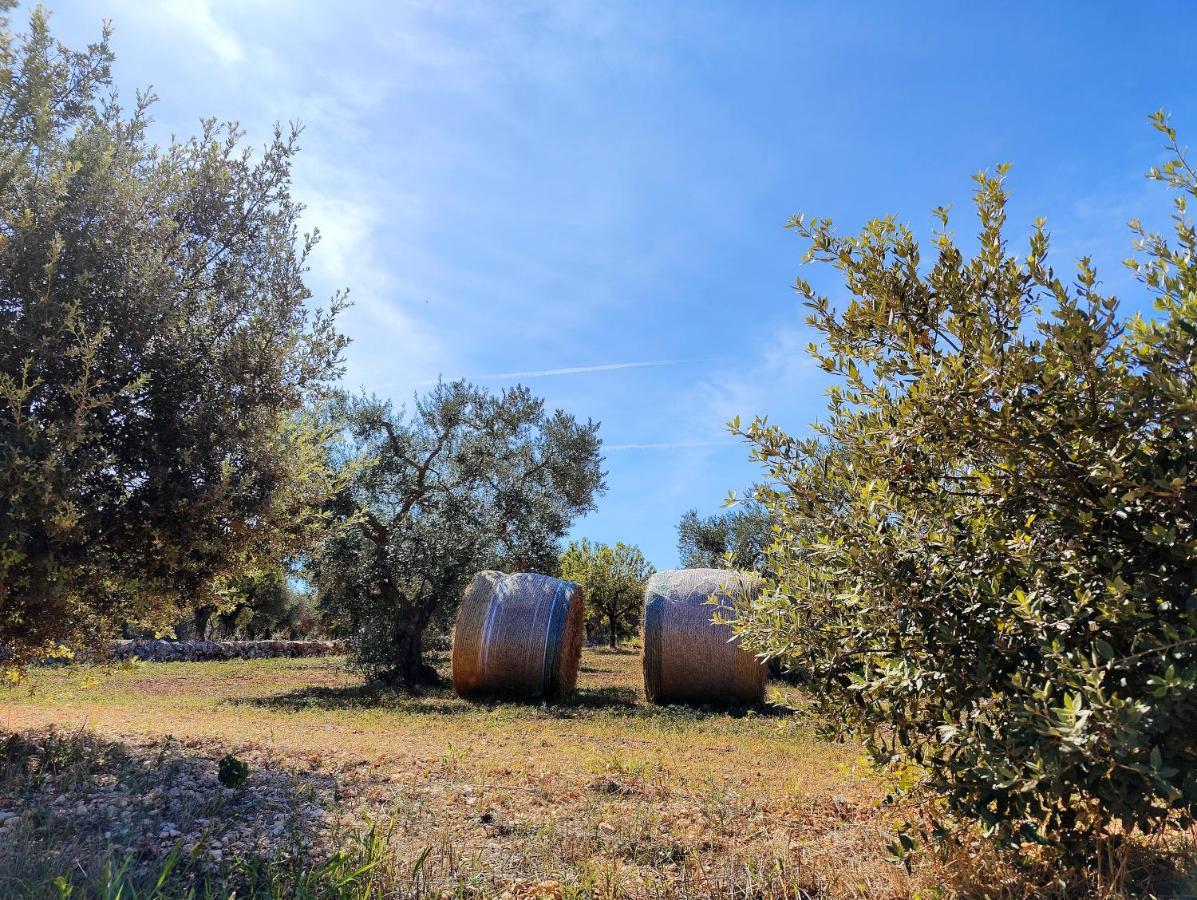 אלברובלו Come Una Volta - Il Trullo מראה חיצוני תמונה